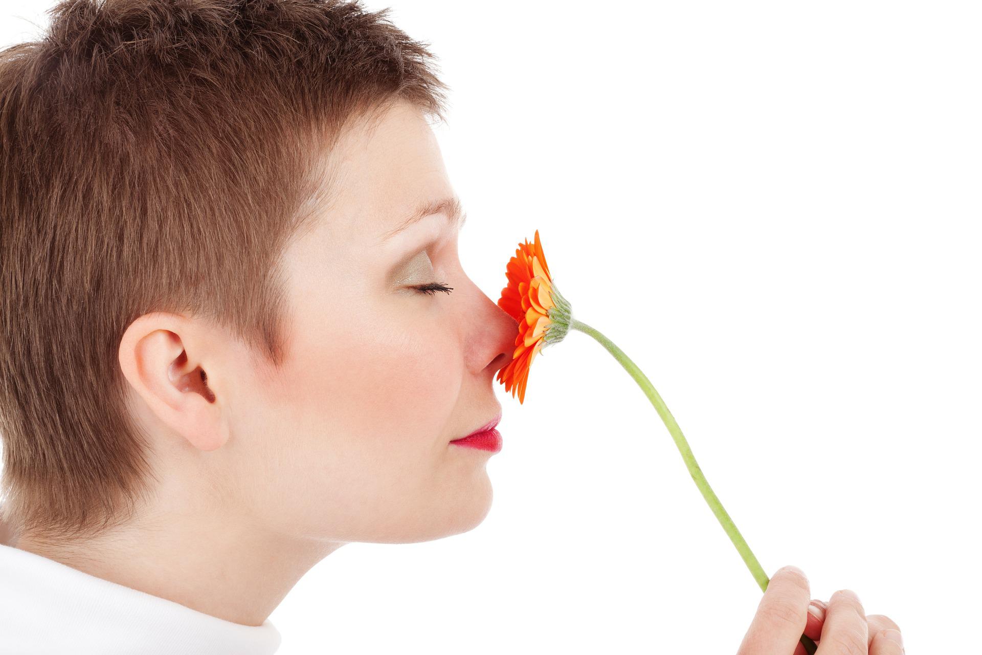Respirer des Huiles Essentielles : voie olfactive et réalisation d’un stick inhalateur